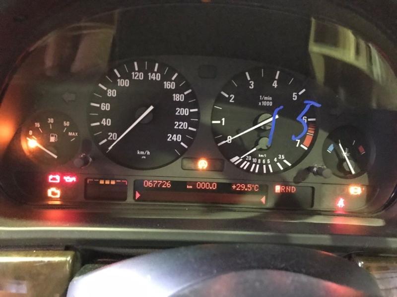 Фото донора 3