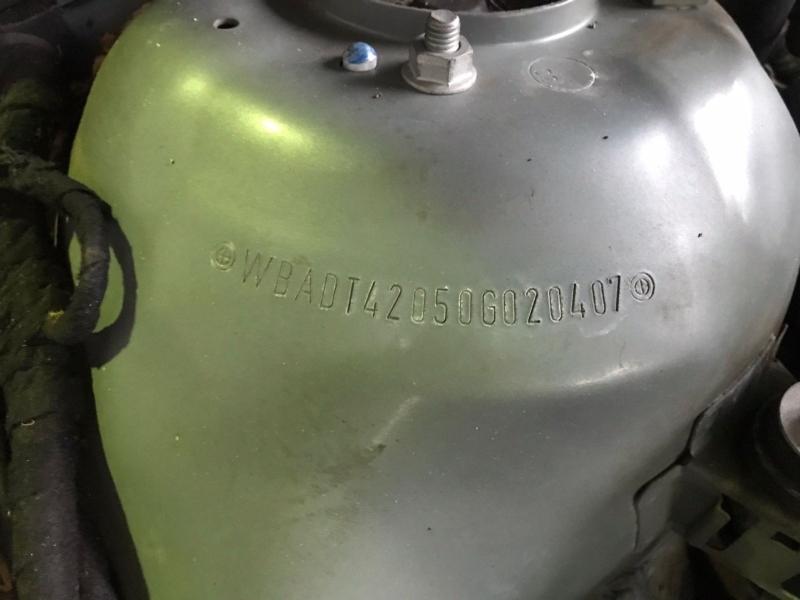 Фото донора 11