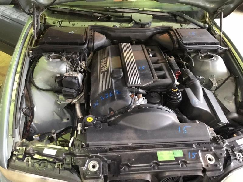 Фото донора 12