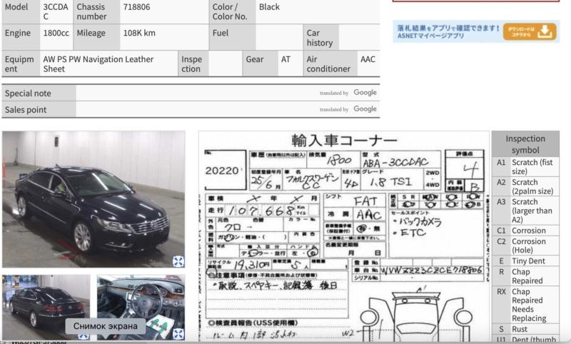 Фото донора 6