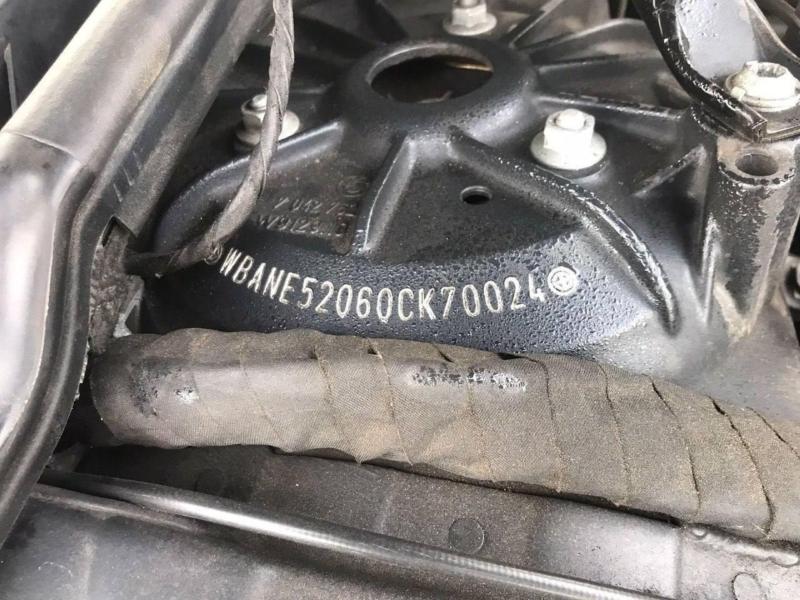 Фото донора 6