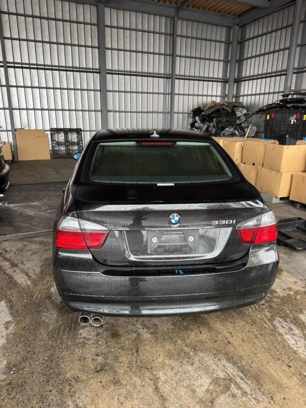 Фото донора 6