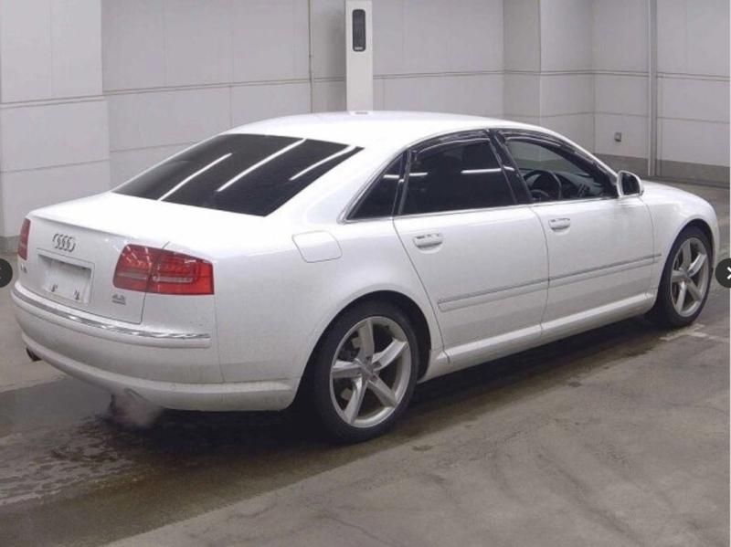 Фото донора 4