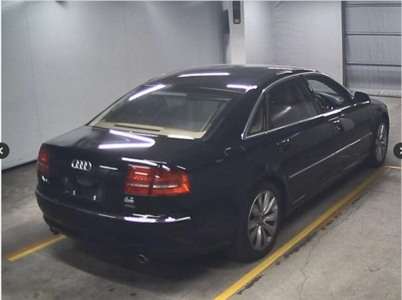 Фото донора 4