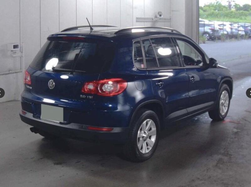 Фото донора 3