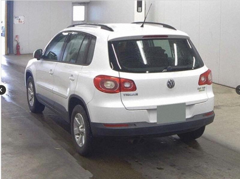 Фото донора 3