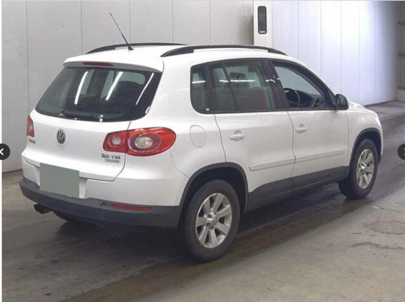 Фото донора 4