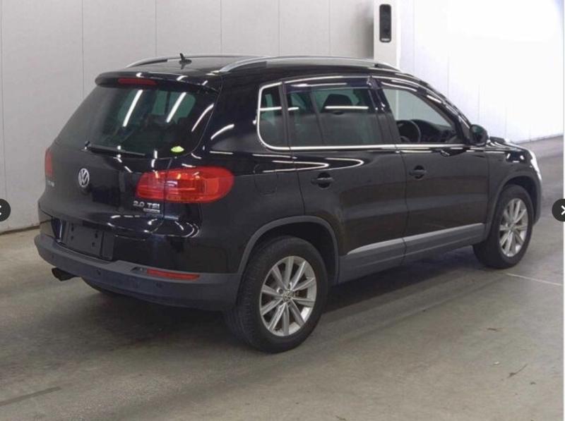 Фото донора 3