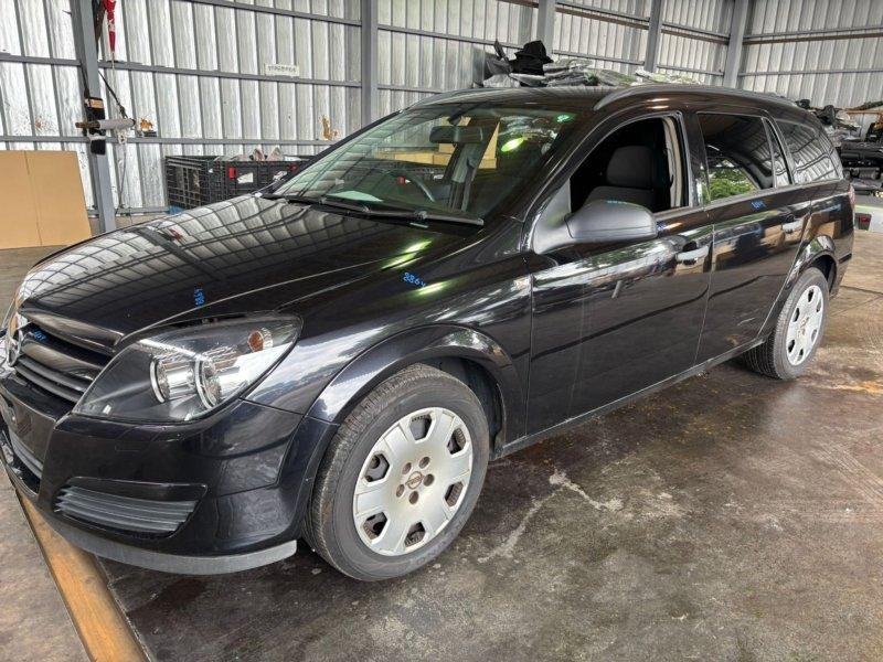 Фото донора 11