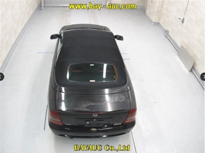 Фото донора 4