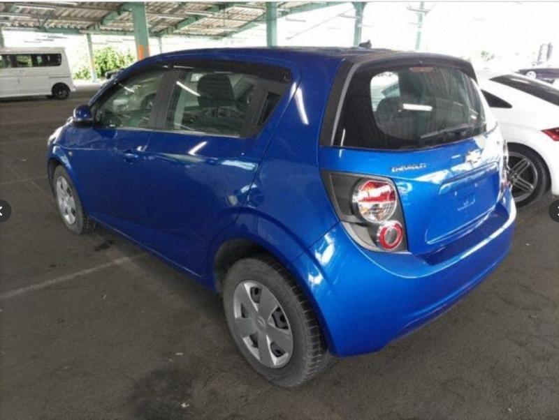 Фото донора 7