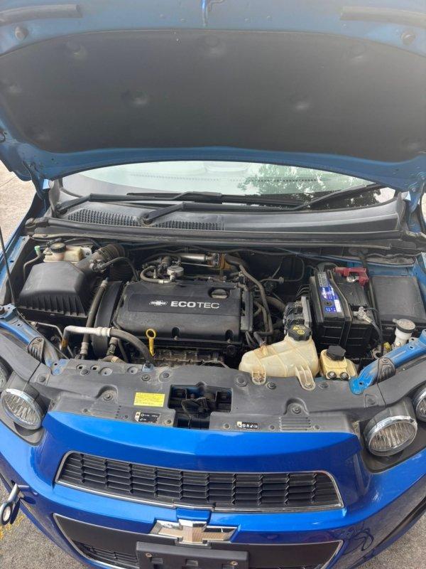 Фото донора 14