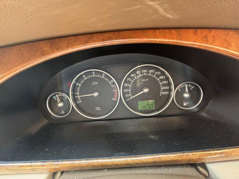 Фото донора 5