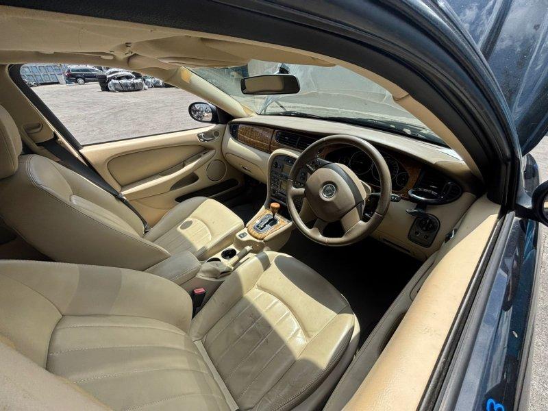 Фото донора 6