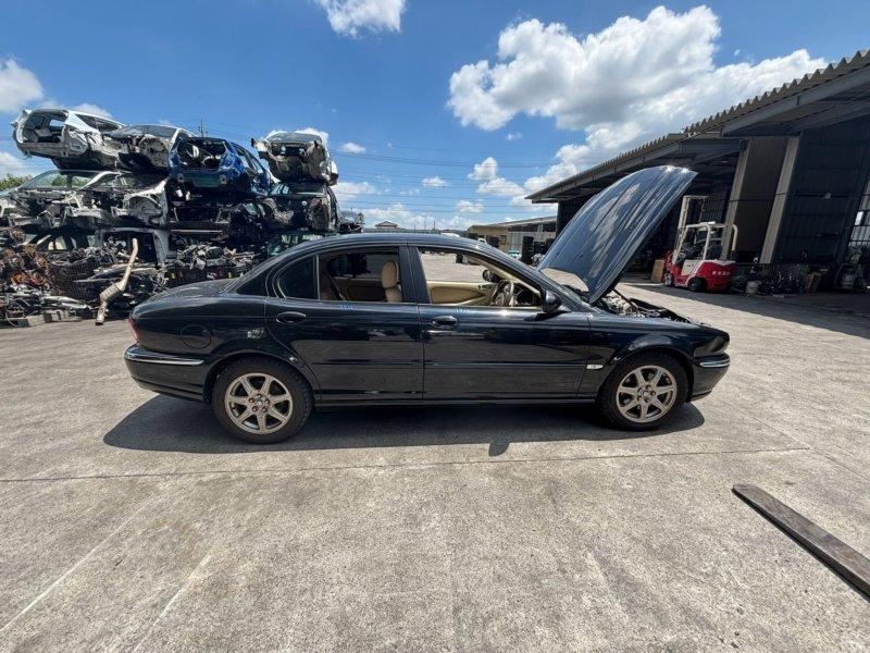 Фото донора 11