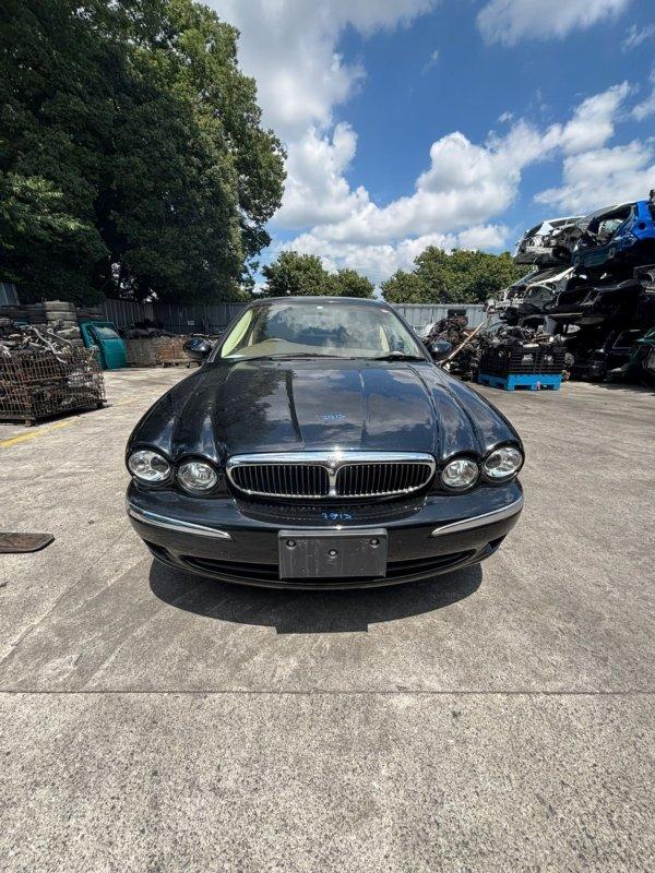 Фото донора 9