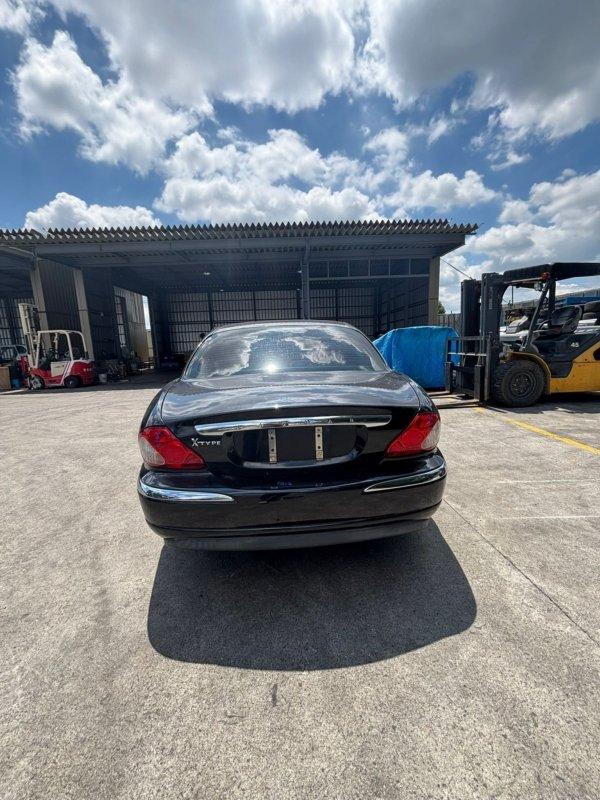 Фото донора 12