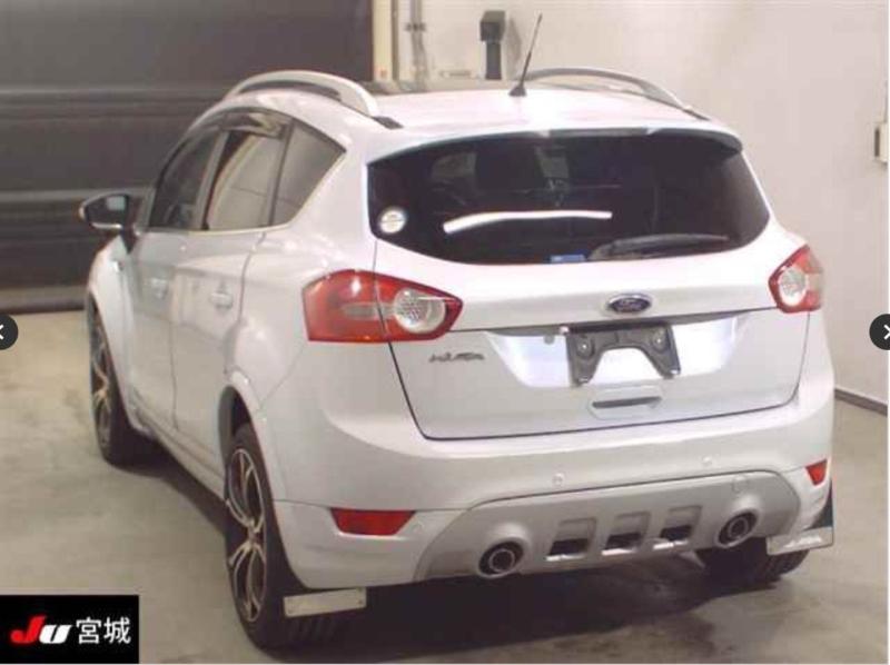 Фото донора 3