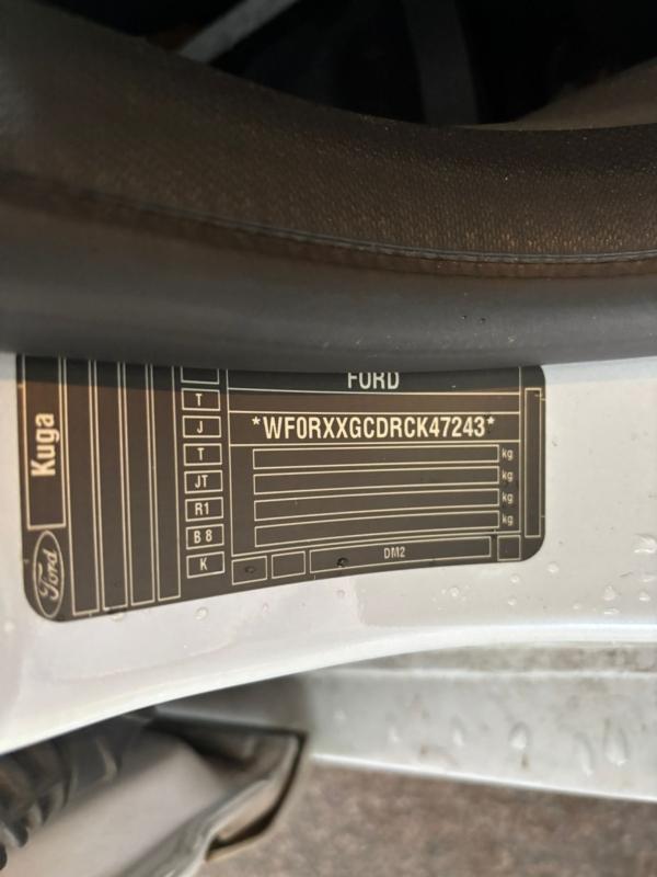 Фото донора 7