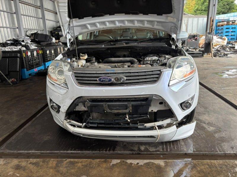 Фото донора 8