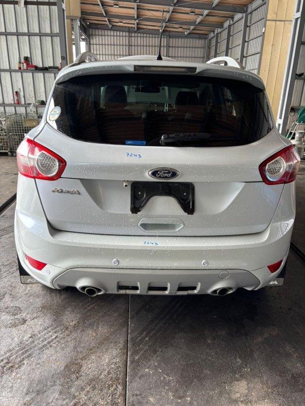 Фото донора 12