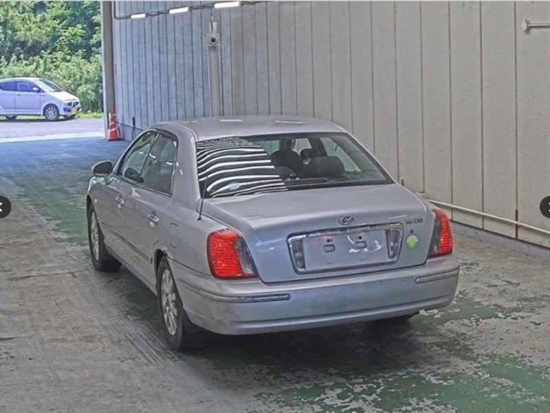 Фото донора 4