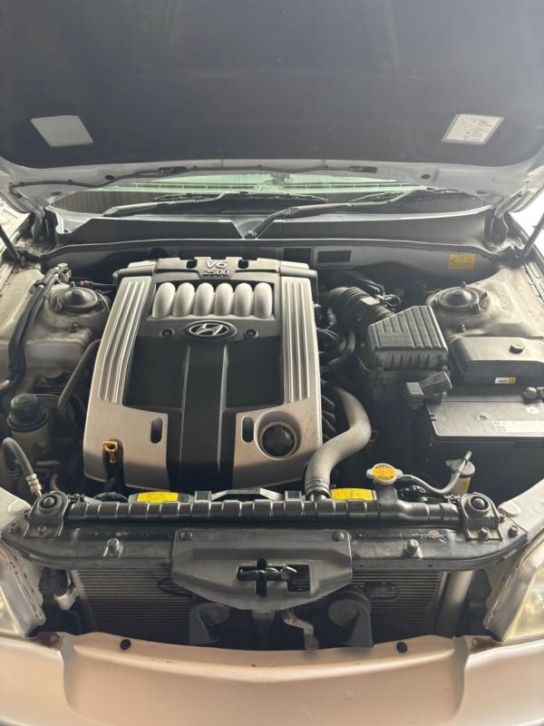 Фото донора 7