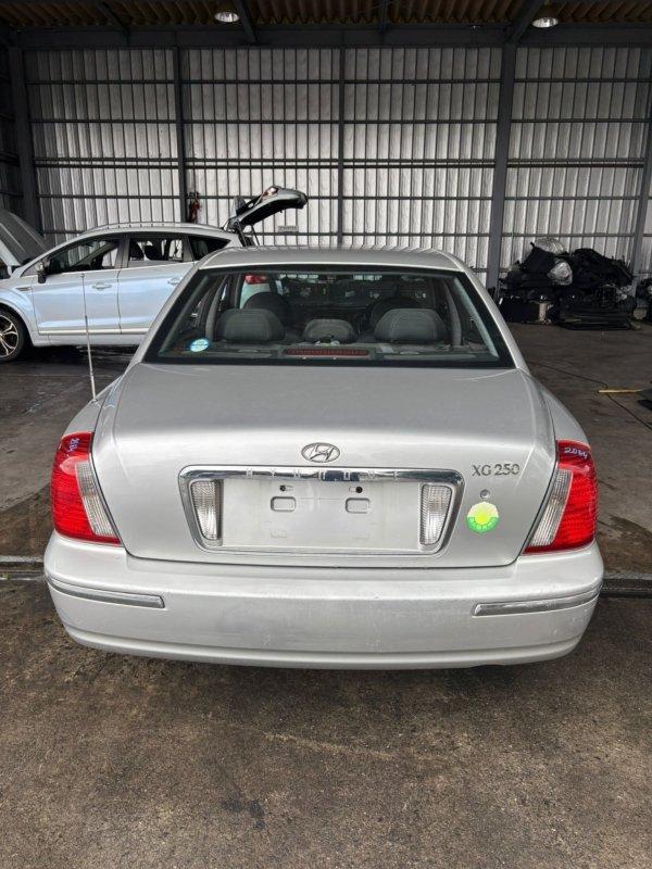 Фото донора 11