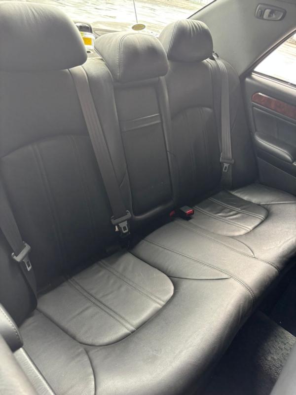 Фото донора 13