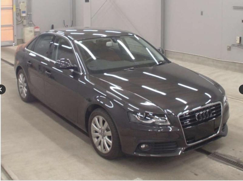 Фото донора 2