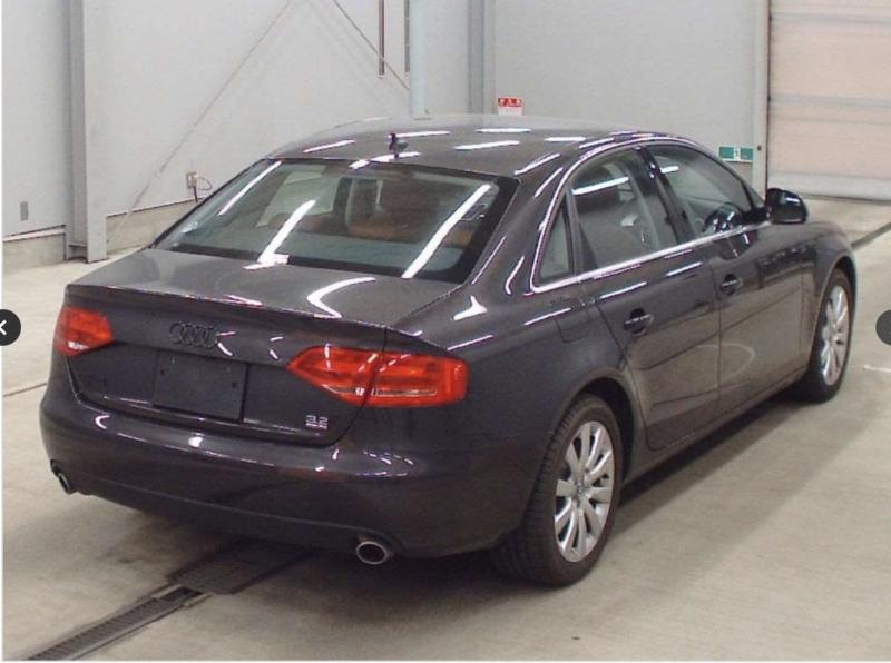 Фото донора 3