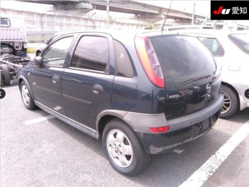 Фото донора 4