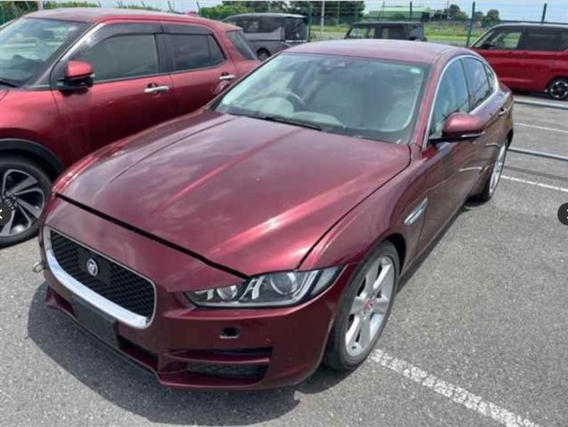 Фото донора 3