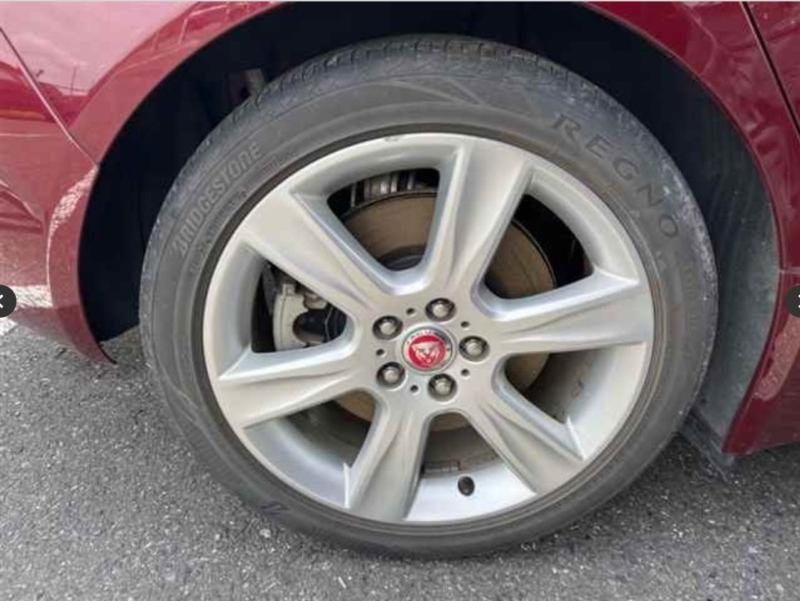 Фото донора 6