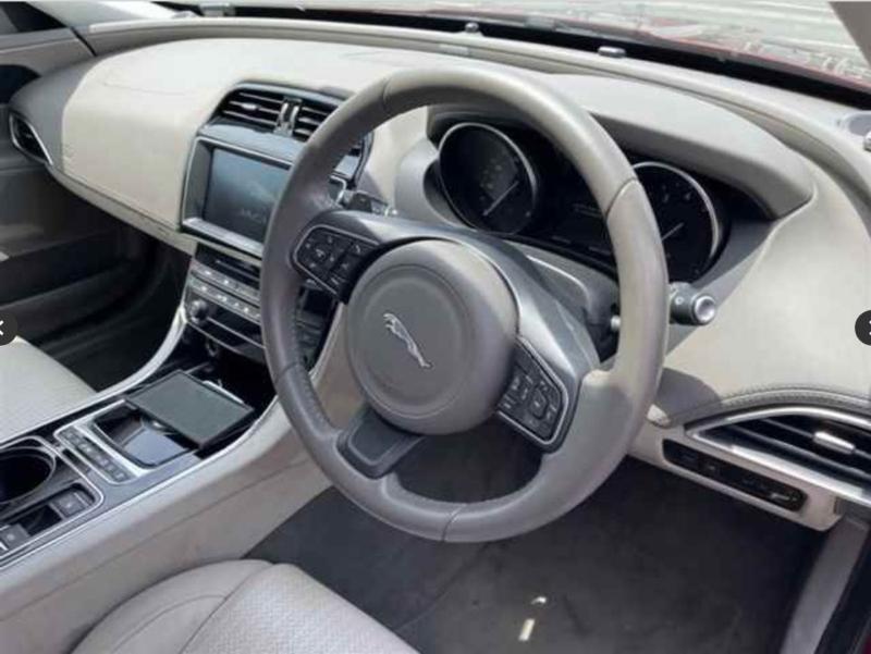 Фото донора 7