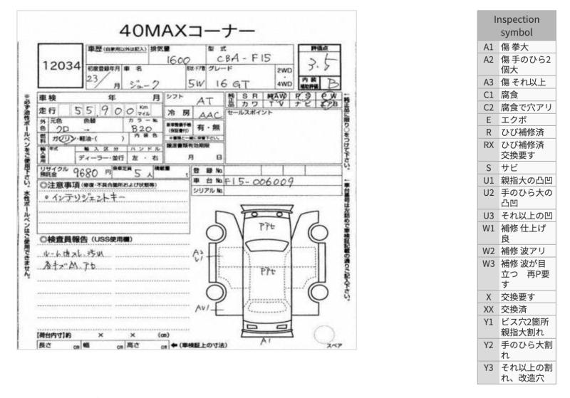 Фото донора 2