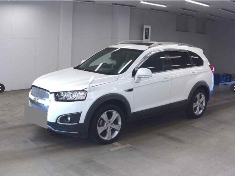 Фото донора 3