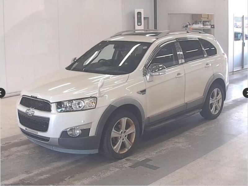 Фото донора 3