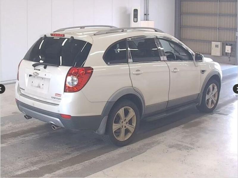 Фото донора 4