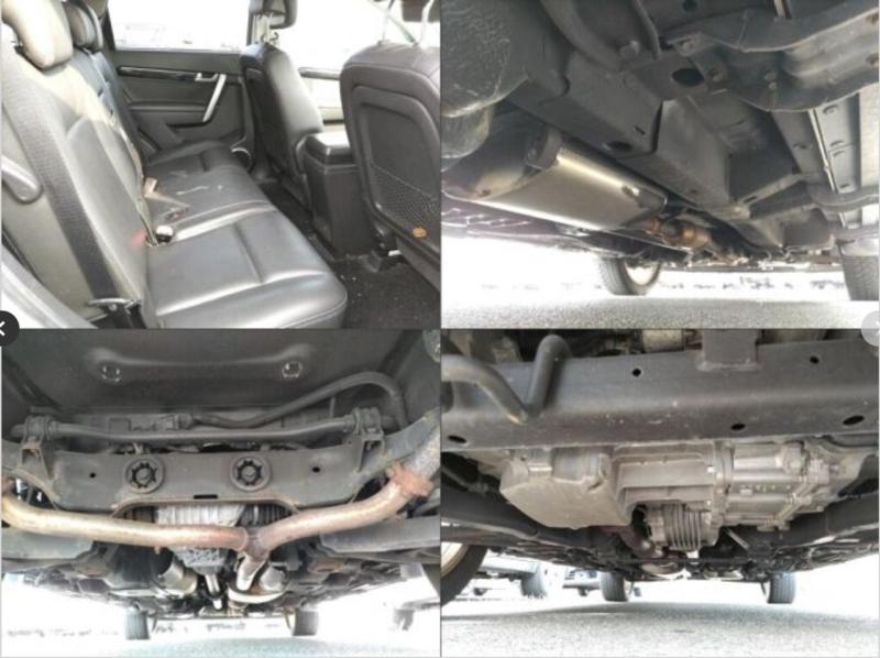 Фото донора 7