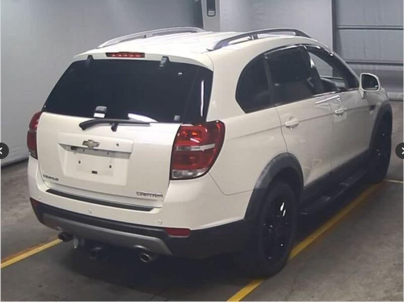 Фото донора 4