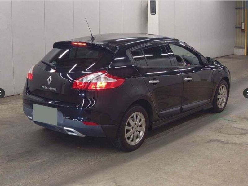 Фото донора 5