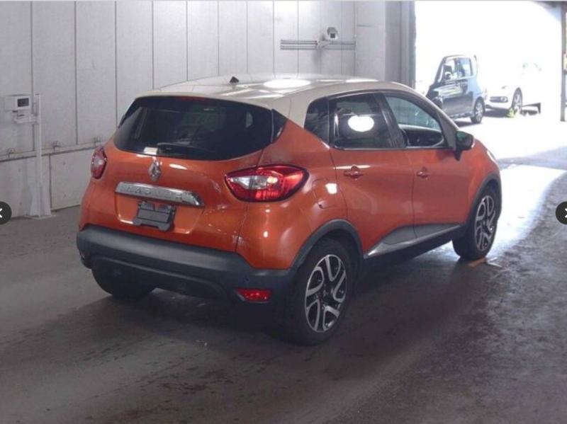 Фото донора 5