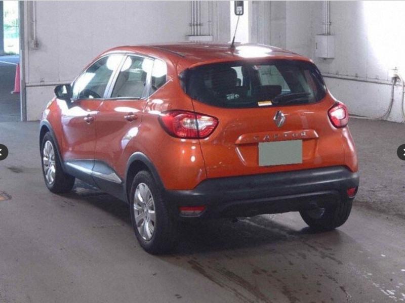 Фото донора 4