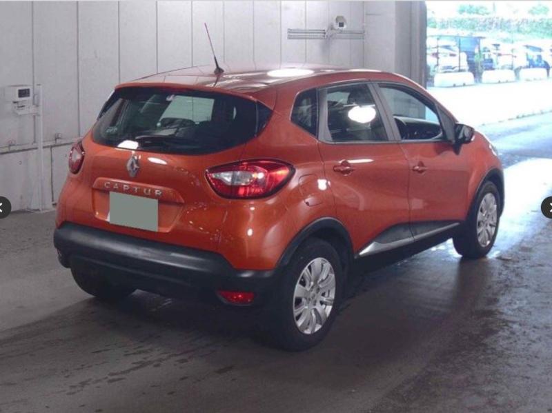 Фото донора 5