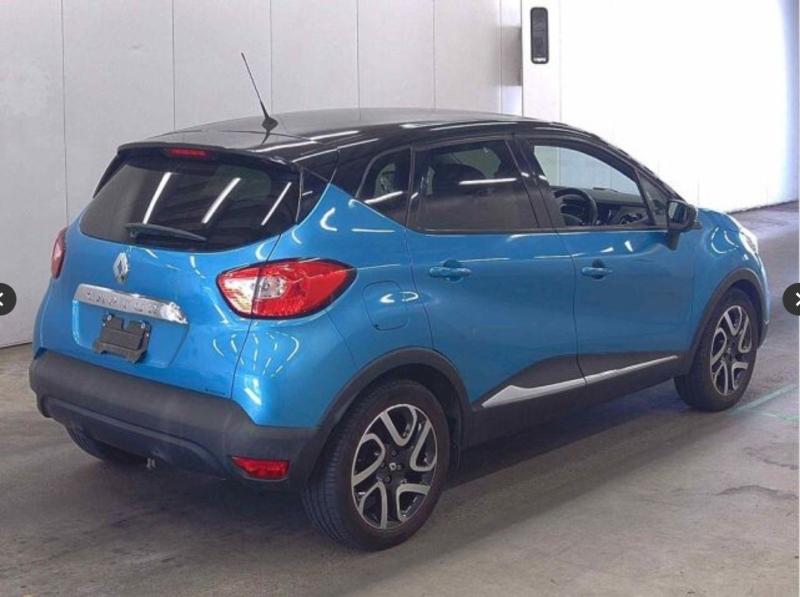 Фото донора 5