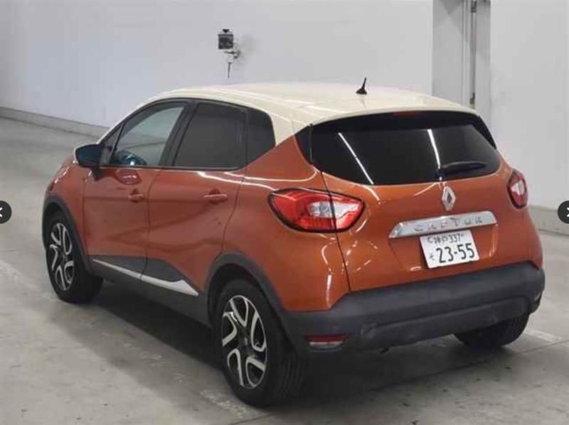 Фото донора 4