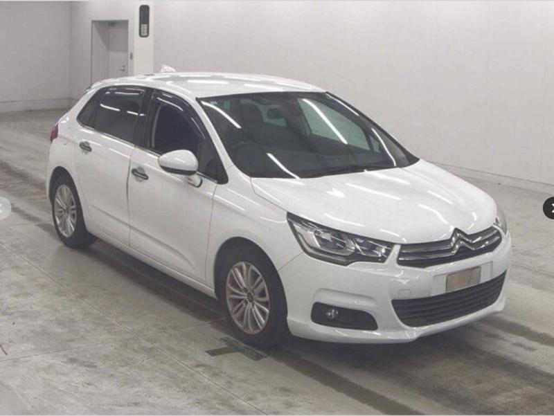 Фото донора 1