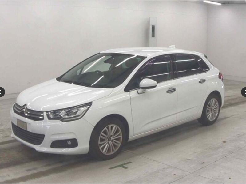 Фото донора 3