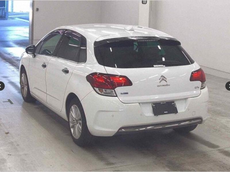 Фото донора 4